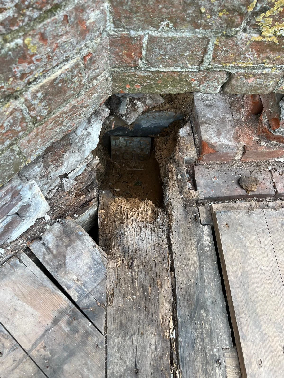 Rotten Timber at Quex Park